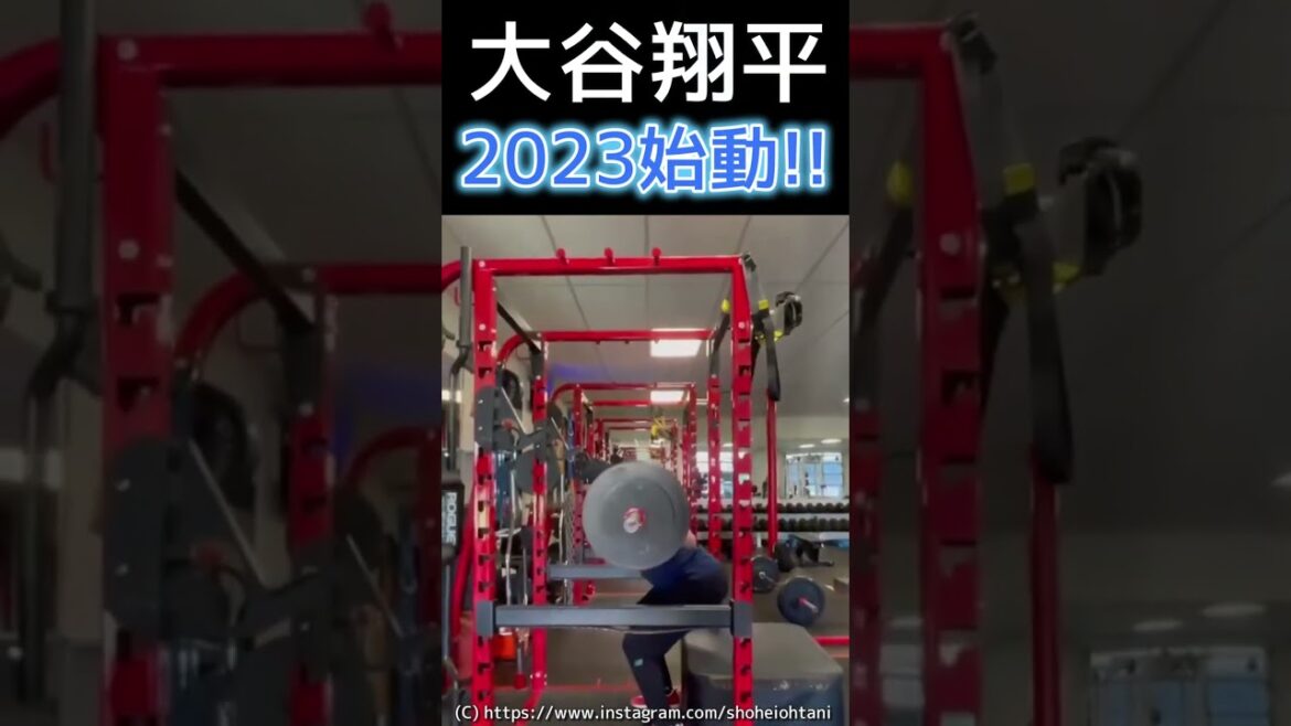 ⚾ Lower body is dangerous lol[Otani training starts]#Shohei Otani 2023 #shotrs #shoheiohtani