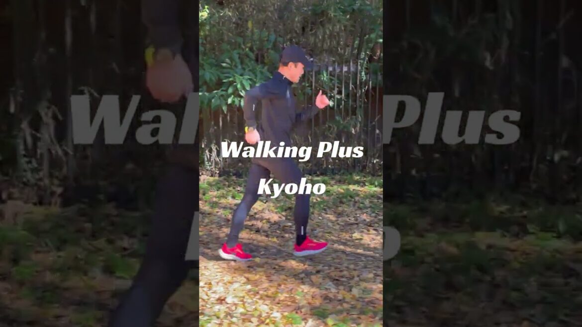 Walking Cross Country Vol1