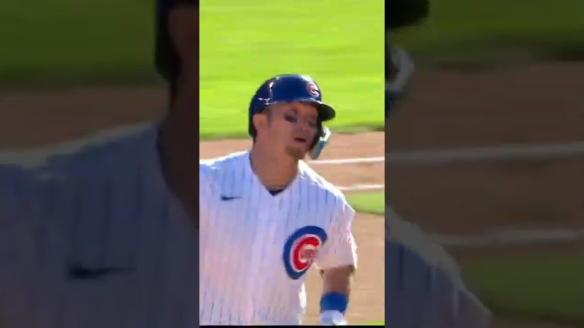 Seiya Suzuki's solo homer| @ (10/01/2022)