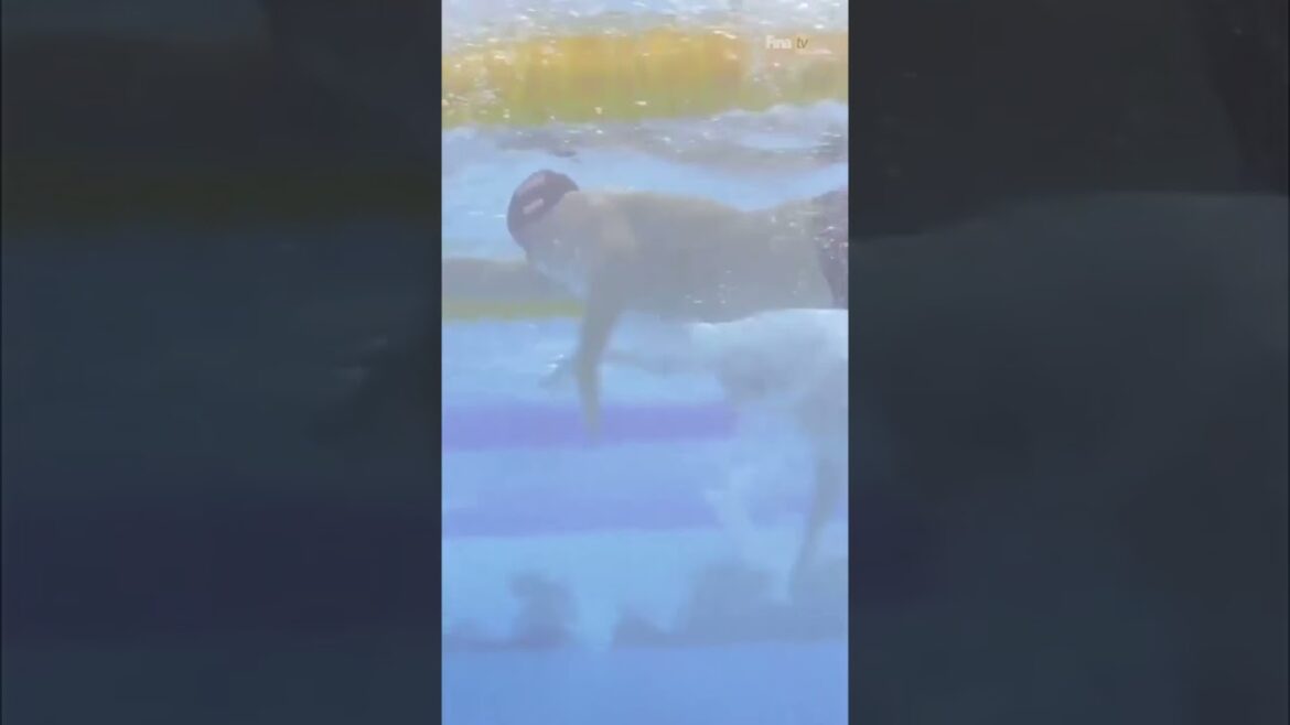 What a finish 馃槺 #FINAMelbourne22 What a finish 馃槺 #FINAMelbourne22