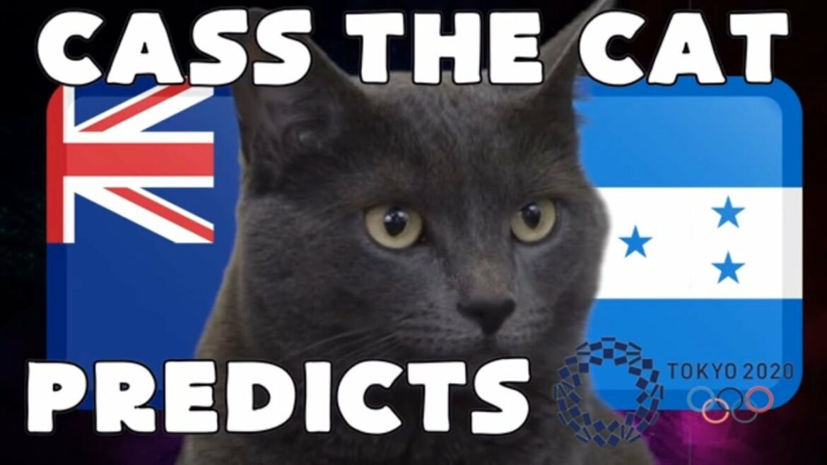 2020 Olympic Games Football - New Zealand vs Honduras - Cass the Cat Predicts