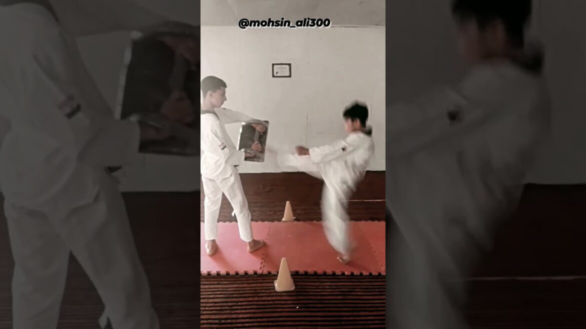 TEAM WTA🏆🏆✌️#taekwondo #shorts #trending #viral #viralshorts #martialarts #indianarmy #youtubeshorts