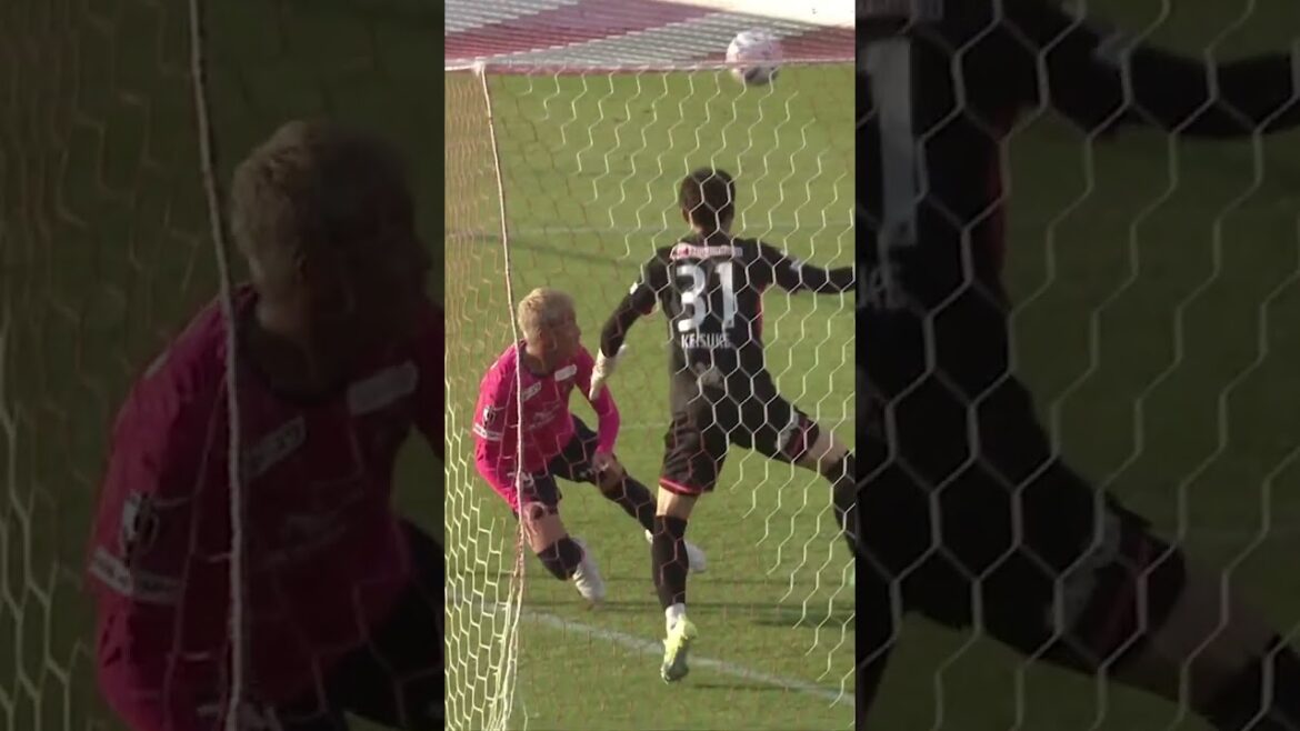 [Just before the end of the match]Dramatic goal shown by SAMURAIBLUE warrior Yuki Soma 🔥[Wacky Choice]November 10, 2022 #shorts