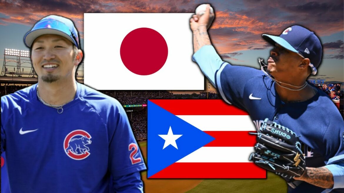 Chicago Cubs World Baseball Classic Preview!
