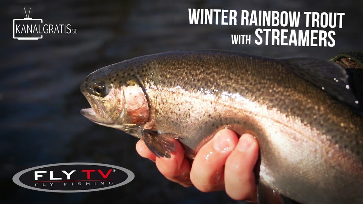 FLY TV - Winter Rainbow Trout with Streamers ft. Mike Schmidt