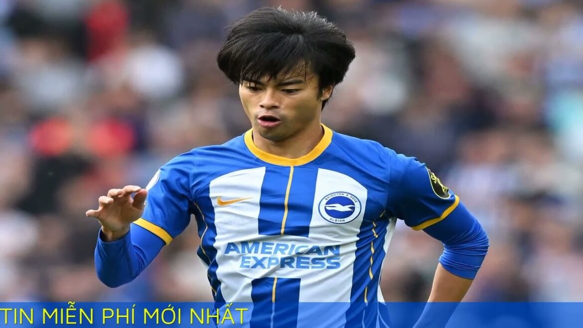 Mitoma caused fever with goal against Liverpool Mitoma caused fever with goal against Liverpool