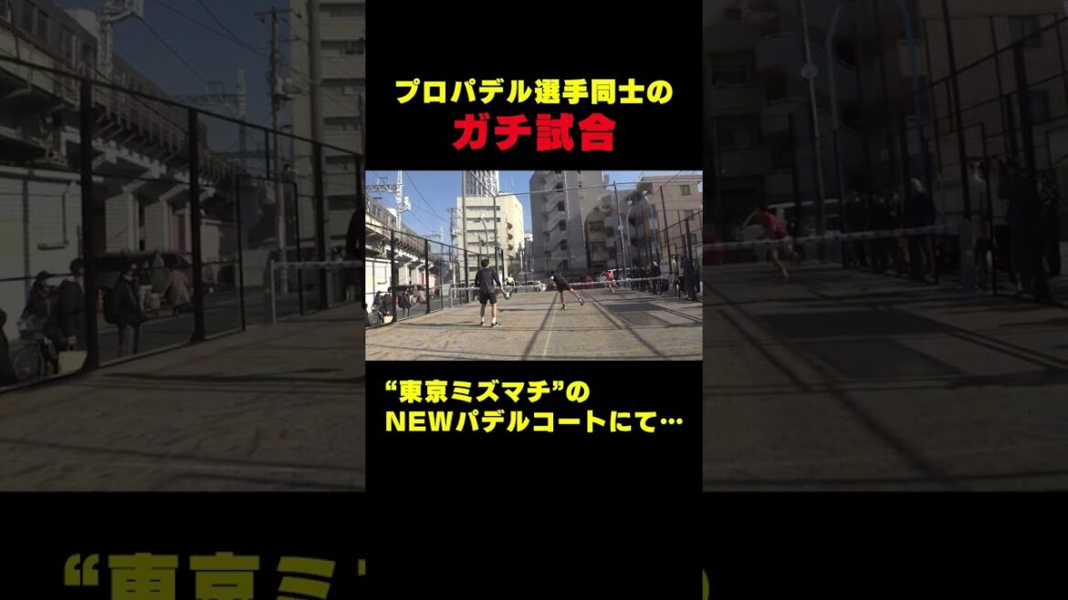 A serious match between professionals at the new padel court "Padel Tokyo Mizumachi"![Clipping]#Shorts