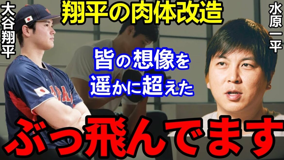 Shohei Otani's "secret training" during the off-season that created his strong body was astonishing.. "I believe in mastering baseball" Hats off to the cool "baseball view"![Shohei Ohtani]Overseas reaction