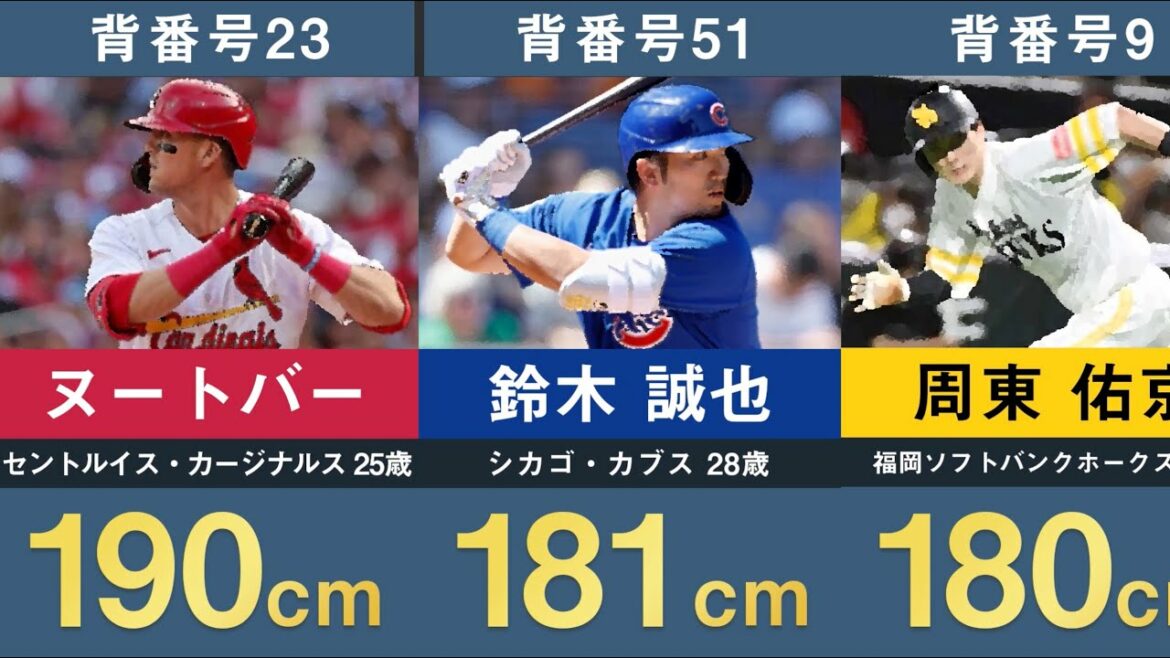 [Samurai Japan Height List]2023 WBC Samurai Japan National Team Height Ranking[World Baseball Classic Shohei Ohtani, Yuki Udagawa, Hiroto Takahashi, Munetaka Murakami, Seiya Suzuki, Yukyo Shuto, Coach Kuriyama of Nutvar]