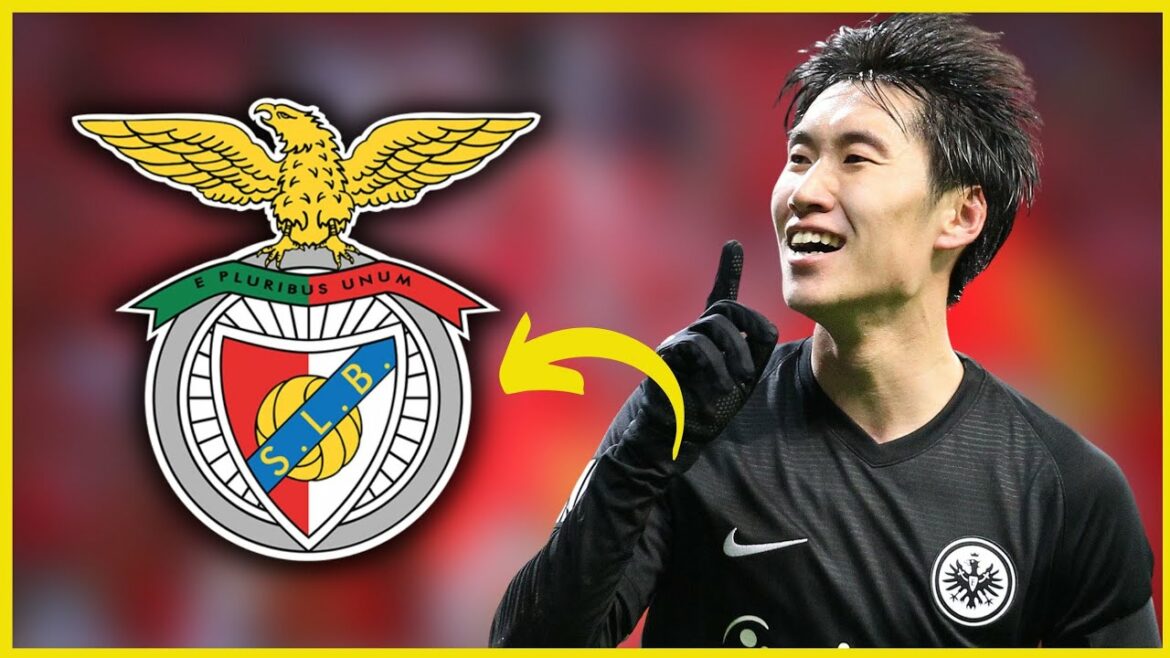 LOOK AT THAT!  DAICHI KAMADA NO BENFICA AT ZERO COST!  BENFICA NEWS!