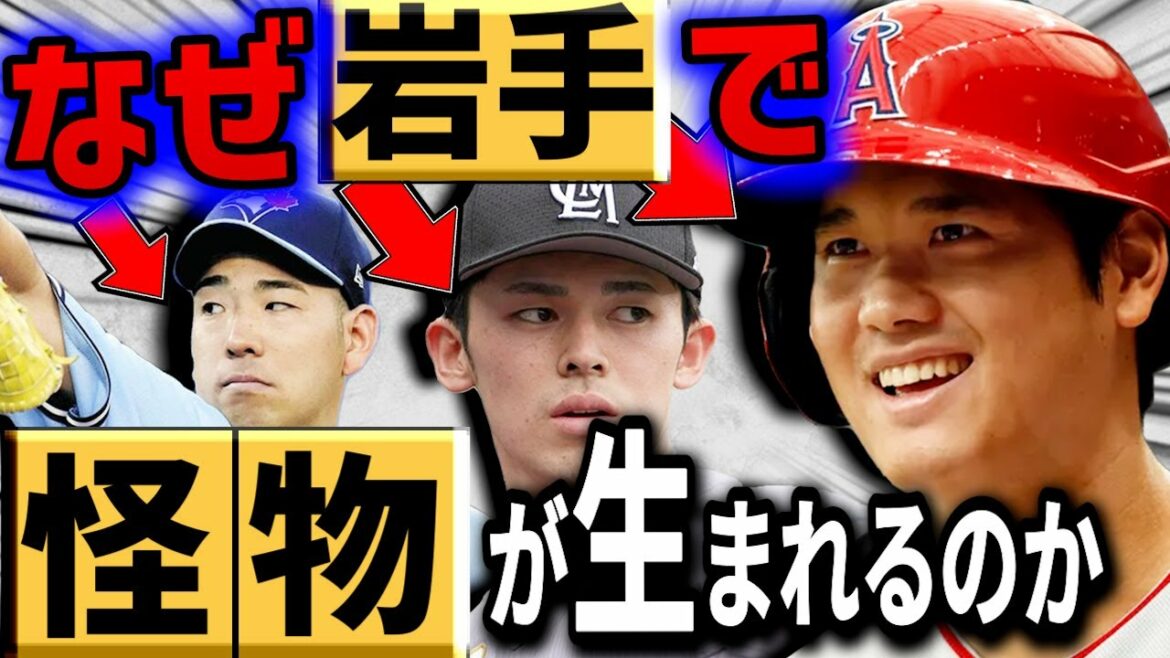 Why are monster pitchers over 160 kg such as Shohei Ohtani and Aki Sasaki born in Iwate?[Pitching method that creates strikeout ability]