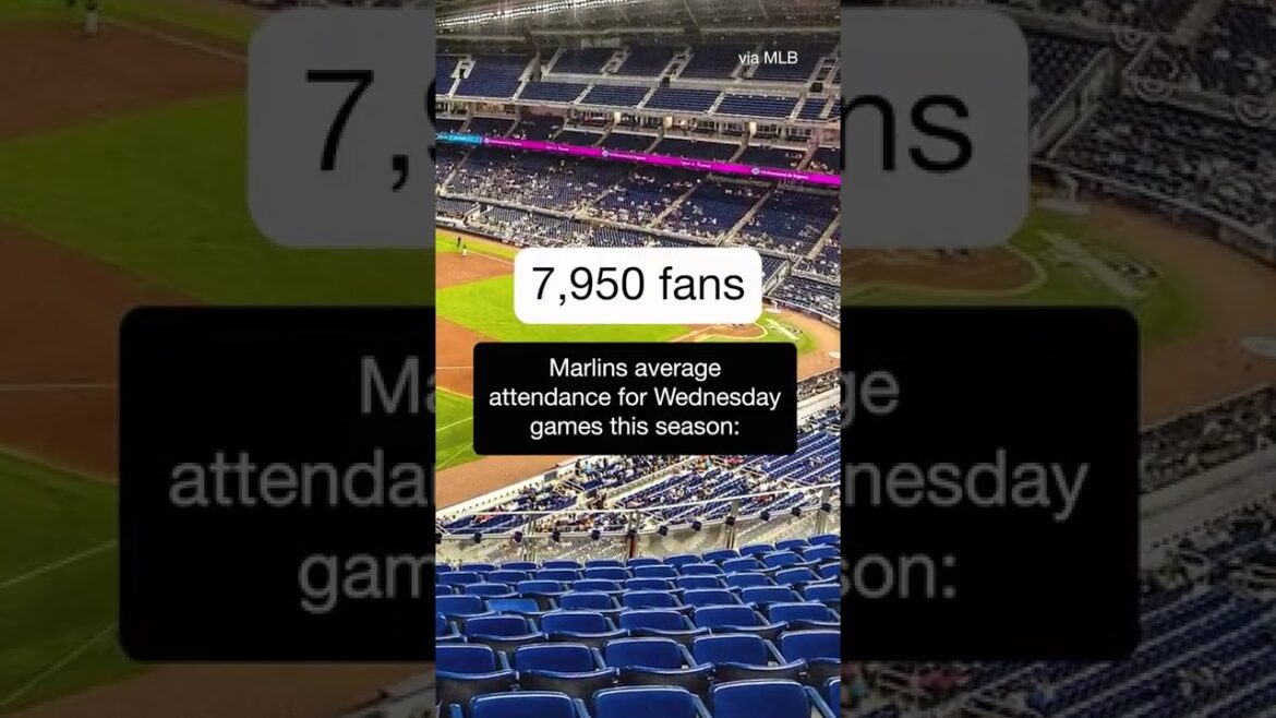 Ohtani is making history and fans are coming in bunches to witness it 👀 #shorts