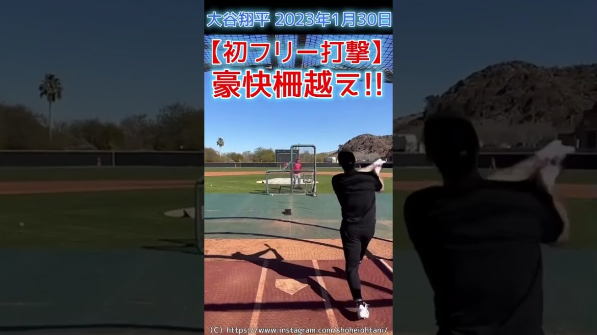 ⚾ Exceeding the fence with a man swing in the first free blow!  #shohei ohtani2023 #shoheiohtani #shorts