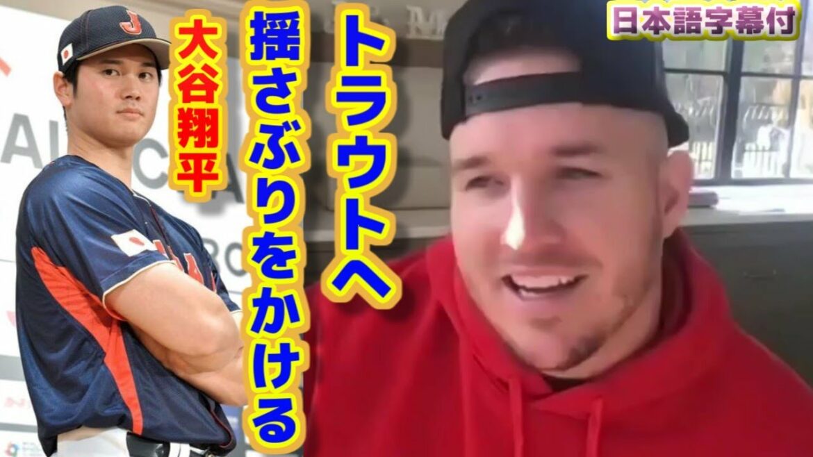 Shohei Ohtani shakes up the trout WBC Japan representative says there are better players than himself Shohei Ohtani shakes up the trout WBC Japan representative says there are better players than himself