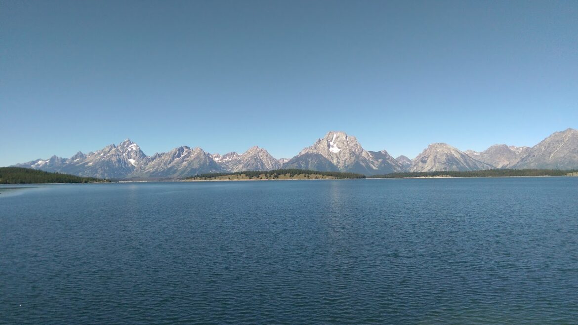 Shohei Ohtani plans to pitch at the Spring Games in Arizona❗Have fun chatting with fans😆【Live streaming】