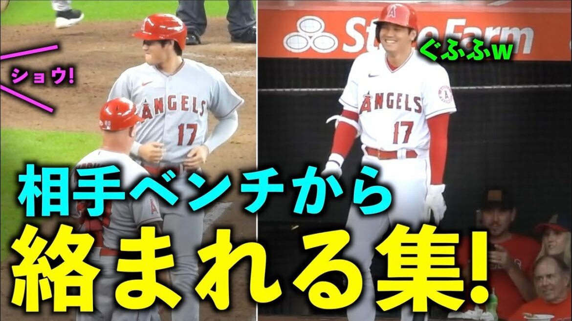 From different teams! Shohei Otani A collection that gets entangled from the opponent's bench! Angels[local video]