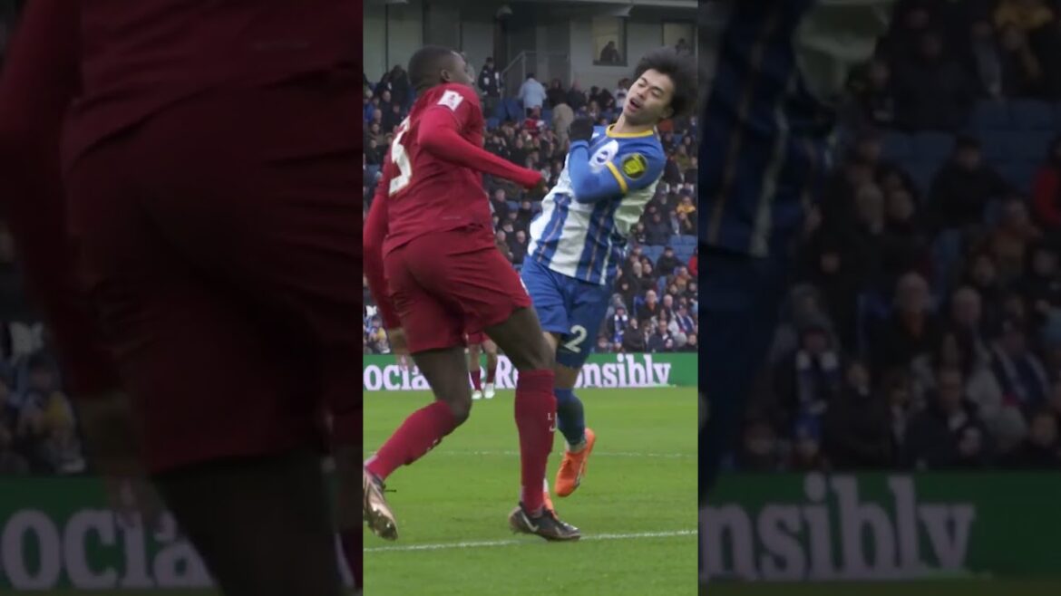 Don’t ANNOY Kaoru! Don't ANNOY Kaoru!