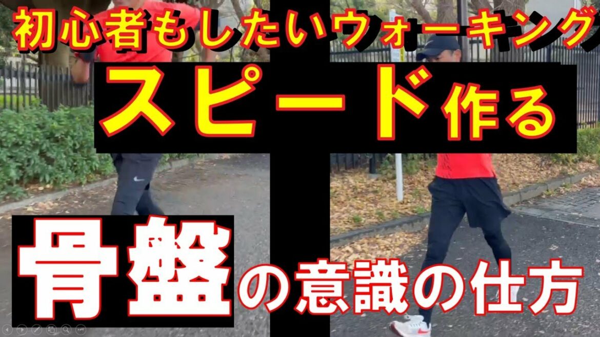 #How to use the #pelvis that you want to be aware of when making a walking speed