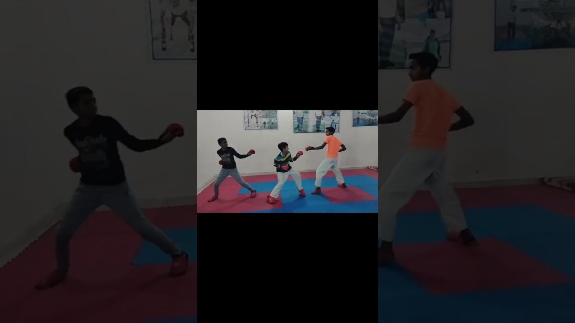 karate punch practice 🥊 #sachinkarate #shorts #youtubeshorts karate punch practice 🥊 #sachinkarate #shorts #youtubeshorts