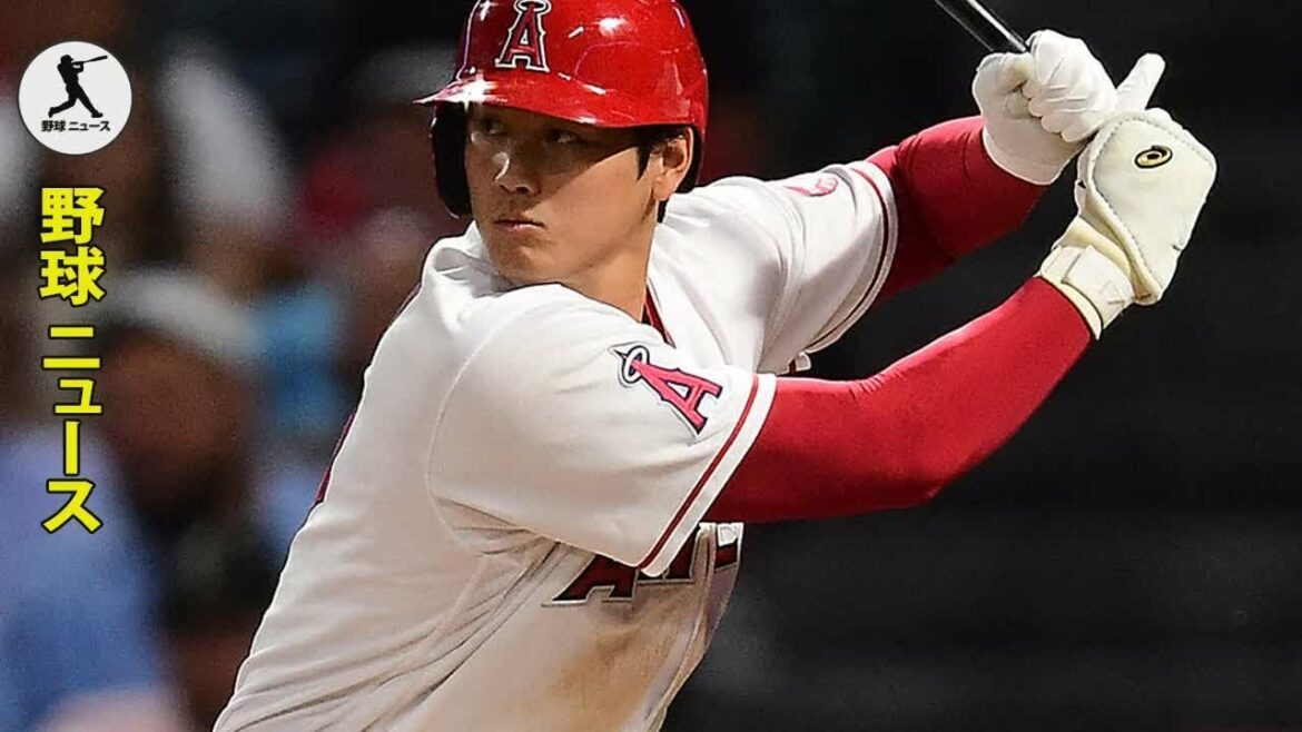 [Overseas reaction]The “overwhelming” homerun king Seiya Suzuki surpasses Shohei Ohtani.