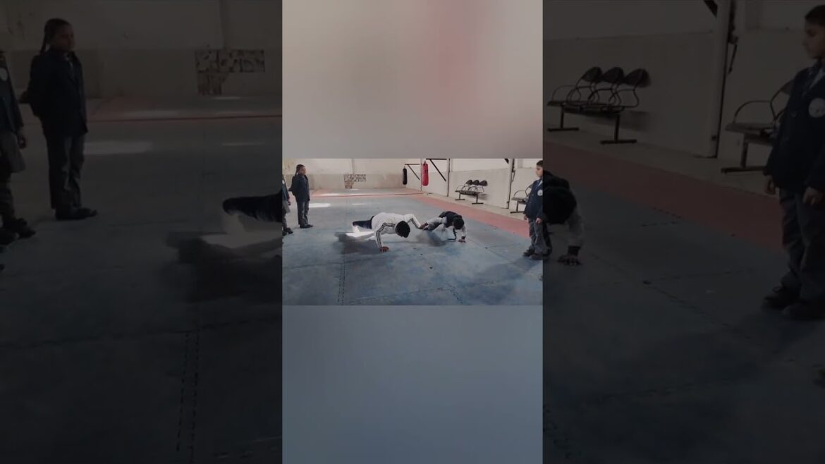 karate pushup with student 💪#sachinkarate #shorts #youtubeshorts karate pushup with student 💪#sachinkarate #shorts #youtubeshorts