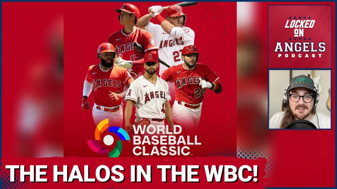 Los Angeles Angels in World Baseball Classic! How Does It Work? Who's In? Trout and Ohtani Concerns?