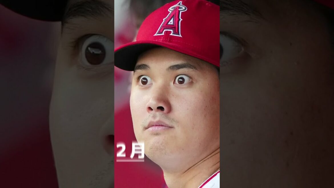 2023 π₯ Shohei Otani Calendar π #shorts 2023 π₯ Shohei Otani Calendar π #shorts