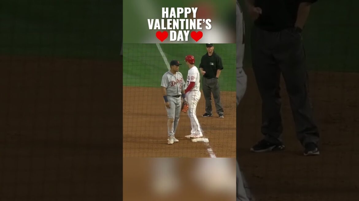 Spread love, not hate. ♥️⚾ #baseball #shorts Spread love, not hate. ♥️⚾ #baseball #shorts