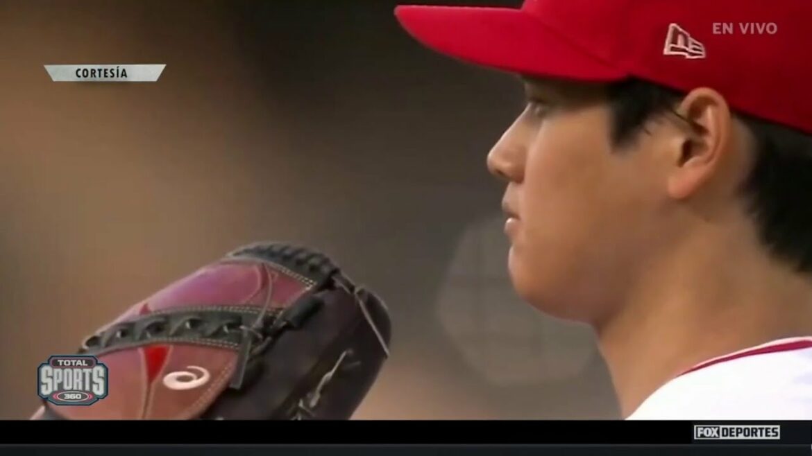Waiting to see Ohtani in action: World Baseball Classic