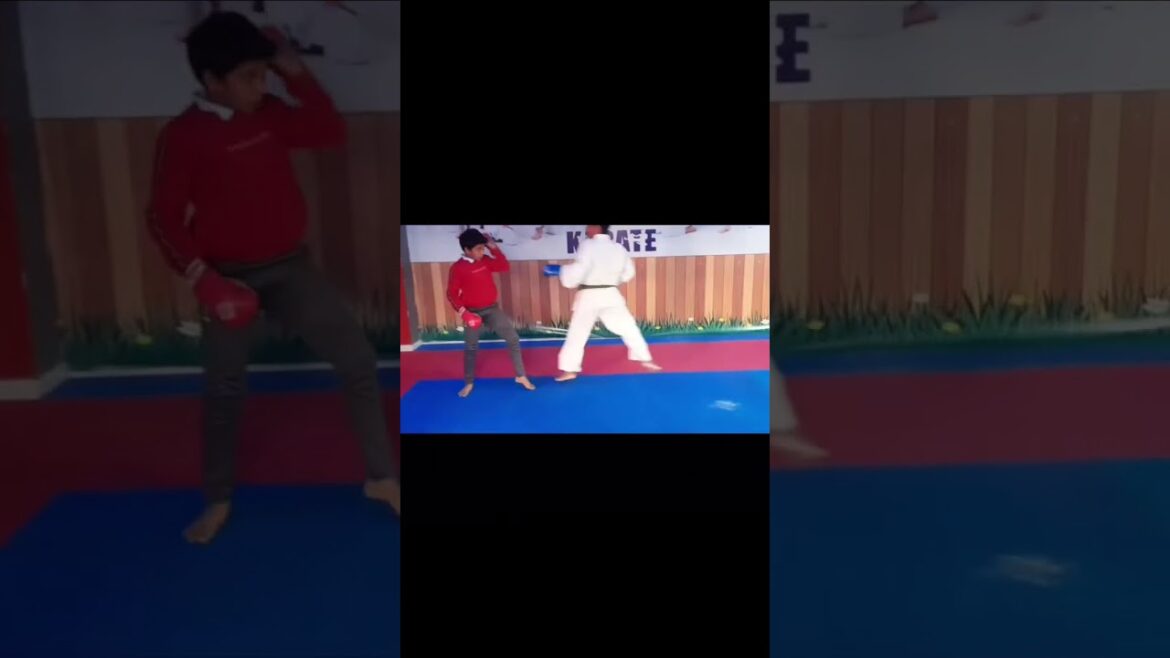 Karate Practice #karate #martialarts #exercise #fight #kumite #karatekick #karatepunch