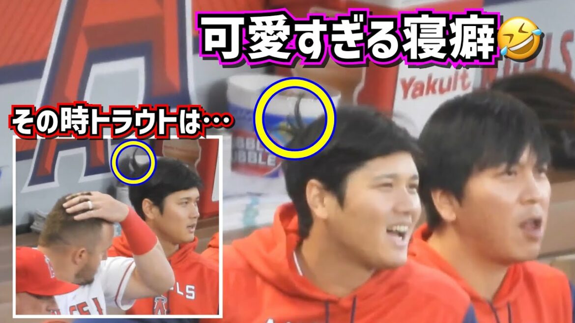 Shohei Ohtani's sleeping habit was too cute🤣What the trout did when he saw it[Local video]ShoheiOhtani Angels ￼