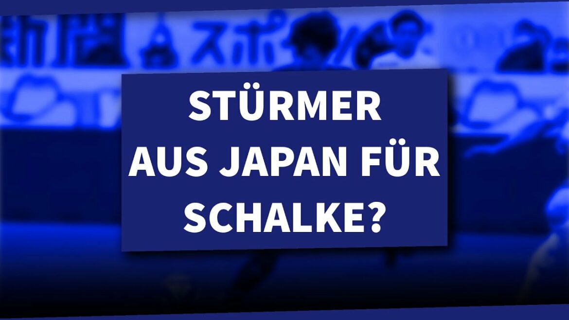 Will Schalke get a new striker?  Rumors about Ayase Ueda!  |  S04 NEWS