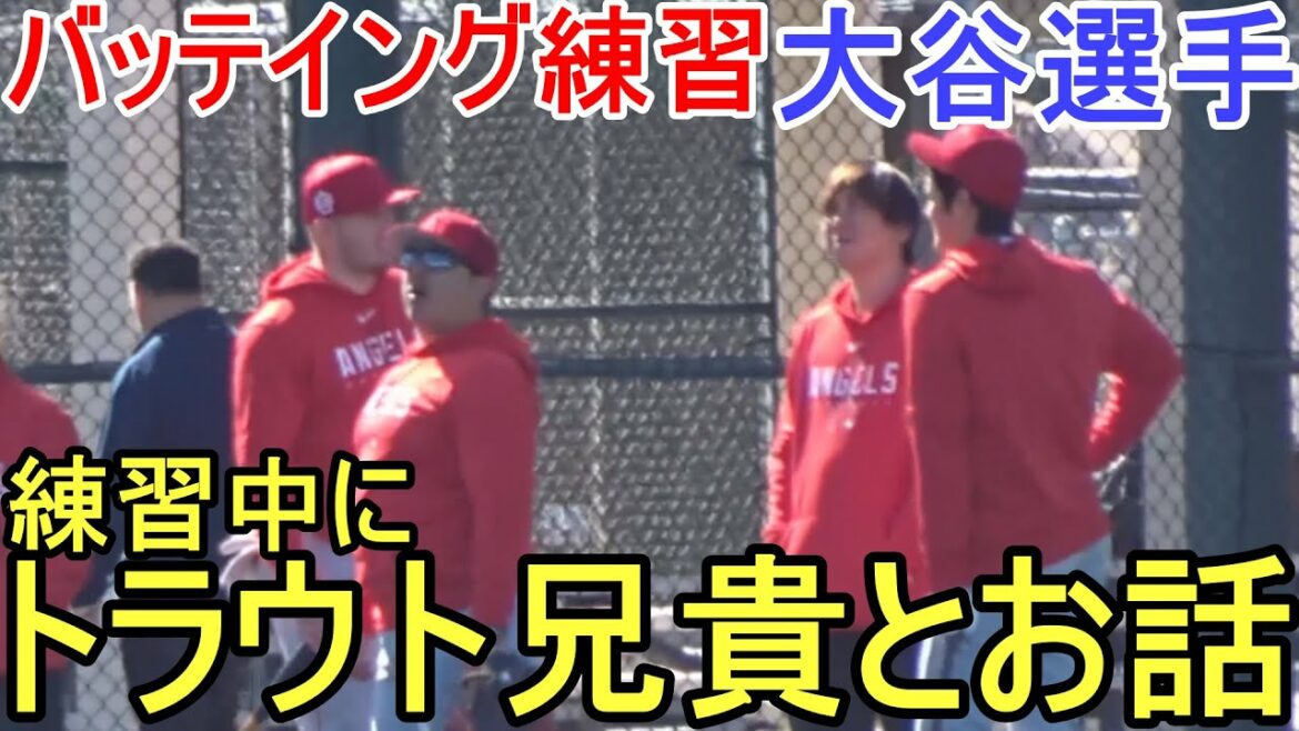 Talking with trout brother during practice?[Shohei Ohtani]Batting practice Shohei Ohtani 2023 Spring Training Batting Practice