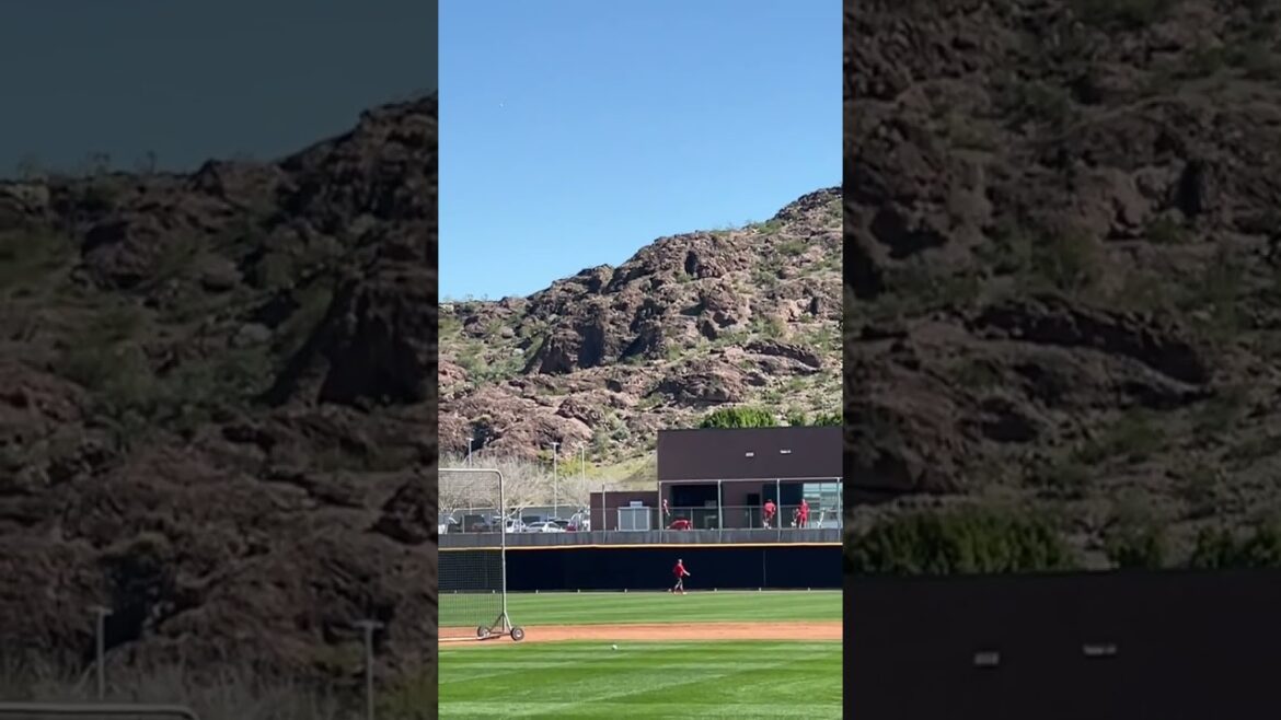 ⚾ 140m oversized bullet![Shohei Otani 2023.2.21 Free]#shoheiohtani #shorts