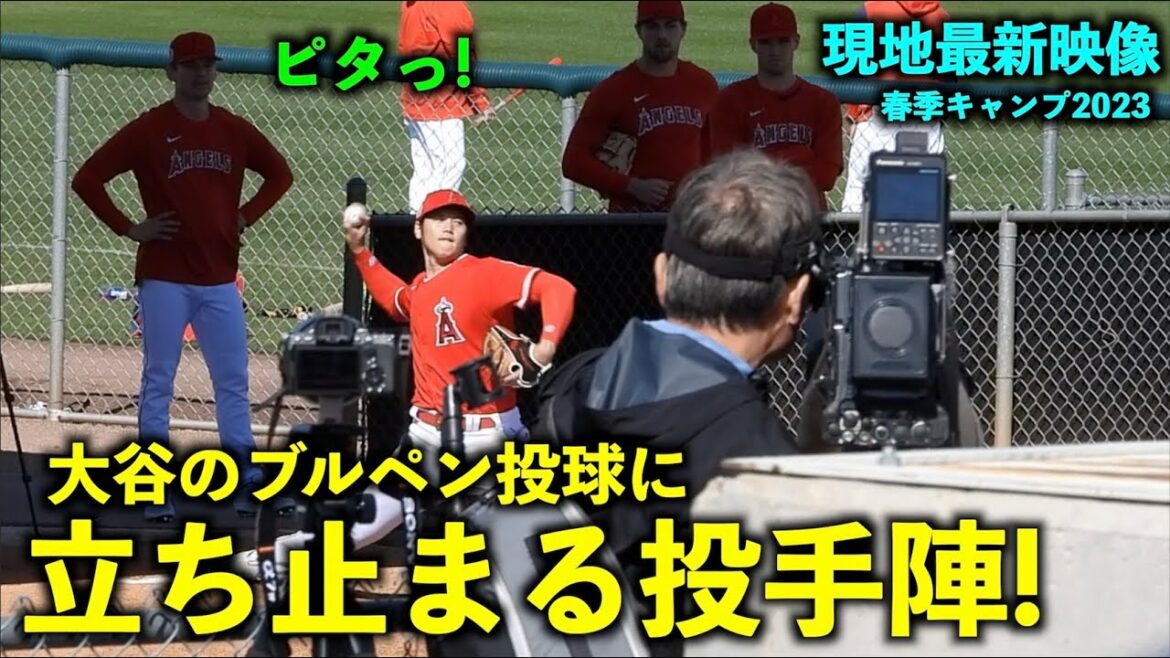 [Latest video in America]Pitchers stopped by Shohei Otani's bullpen pitching! Angels spring camp[local video]