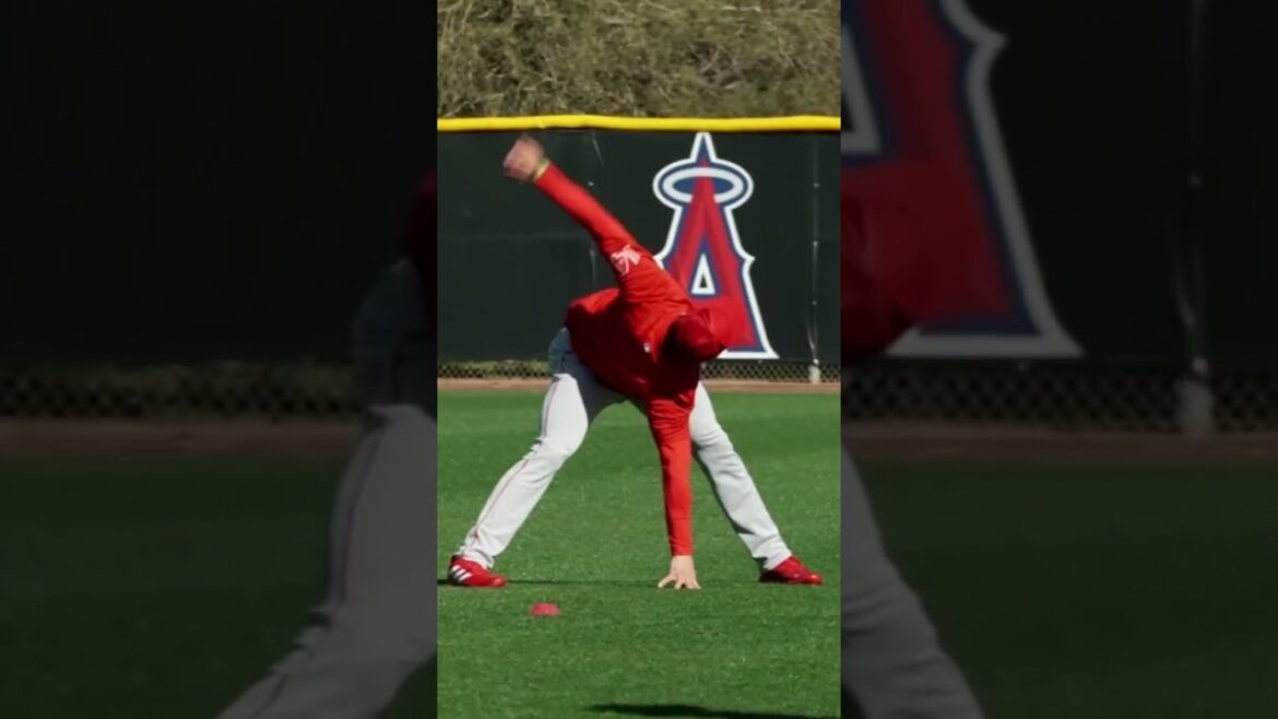 Shohei Ohtani & Los Angeles Angels hold first team workout of spring training Shohei Ohtani Baseball