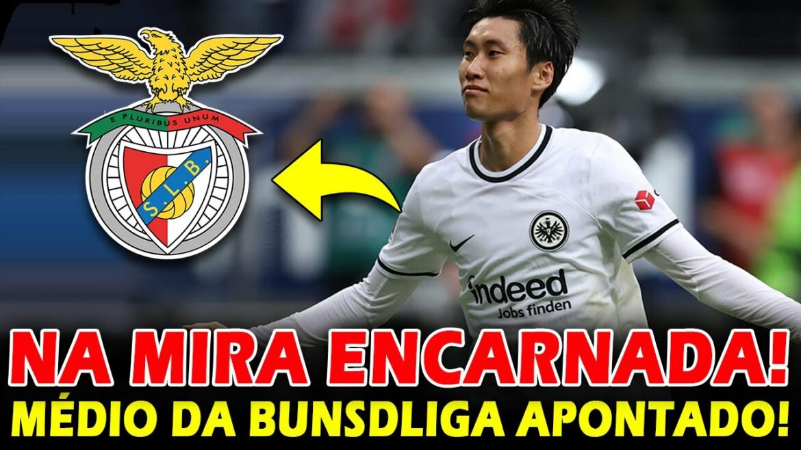 BUNDSLIGA MIDDLE PLAYER AGAIN BEING APPOINTED TO BENFICA! BENFICA NEWS! BUNDSLIGA MIDDLE PLAYER AGAIN BEING APPOINTED TO BENFICA! BENFICA NEWS!