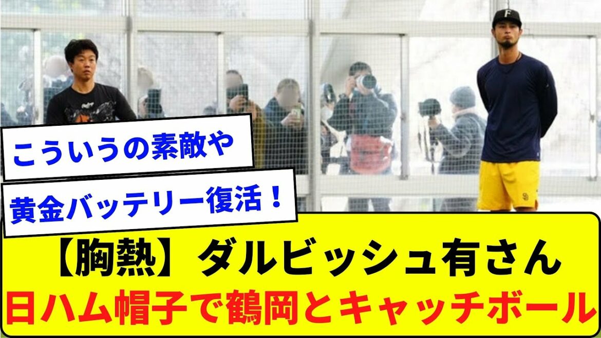 [Chest fever]Mr. Yu Darvish Wearing a Japanese ham hat and playing catch with Mr. Tsuruoka[What J reaction]