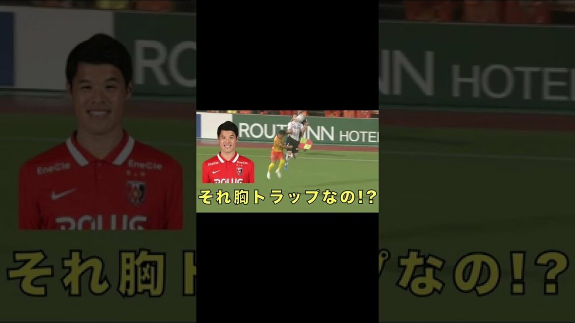 [That chest tiger!!?]#shorts