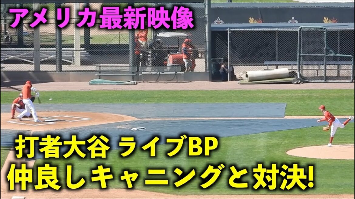 America's latest video! Batter Shohei Ohtani faces off against Canning in two at-bats at Live BP! Angels[Local Video]Spring Camp 2023