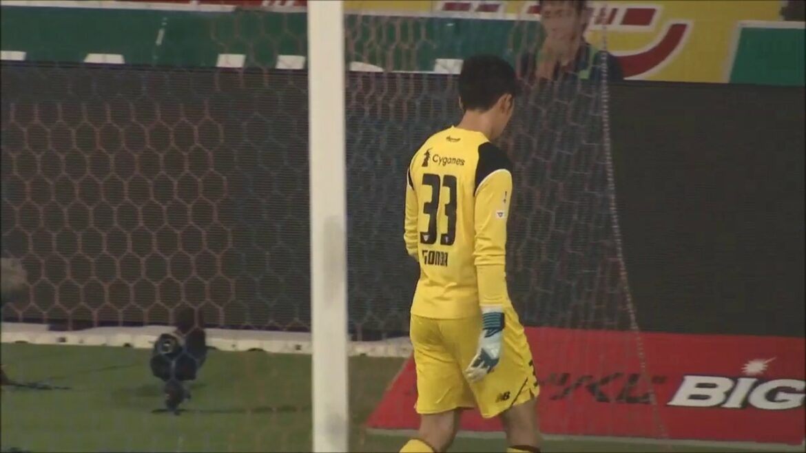 [Official]Goal video: Shogo Taniguchi (Kawasaki F) 56 minutes Sagan Tosu vs Kawasaki Frontale Meiji Yasuda J1 League Round 18 2017/7/8