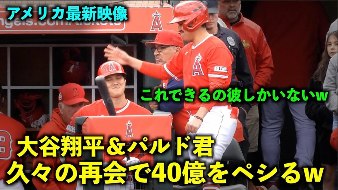 [Latest American video]Too strong w BB's Pardo who slaps Shohei Otani's head at the reunion after a long absence w Spring Camp 2023
