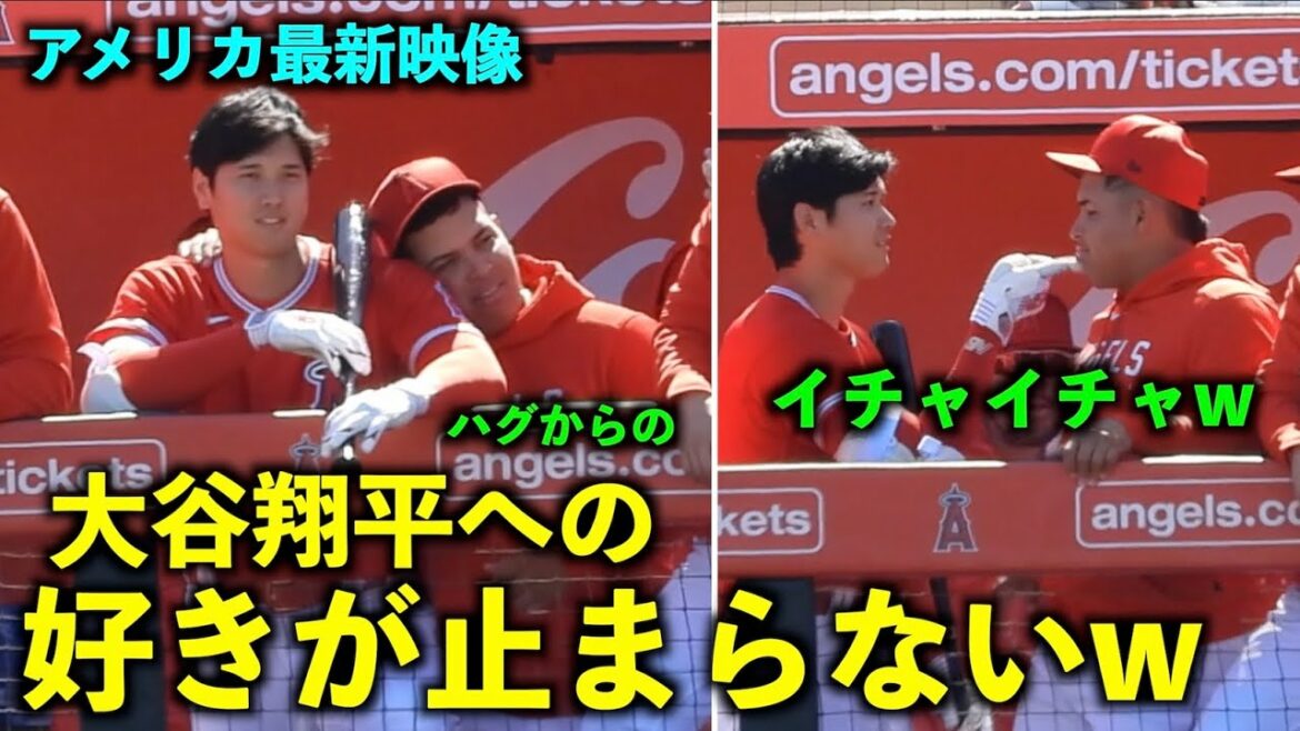 [Latest video in the United States]Suarez Shohei Ohtani's unstoppable love w And attention to the flirting that begins! Spring camp 2023[local video]