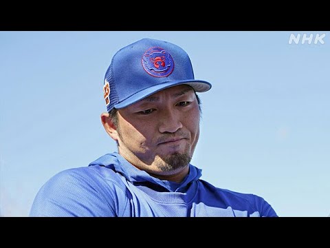 Cubs Without Suzuki, Spring Training Battles, Early Observations Cubs Without Suzuki, Spring Training Battles, Early Observations