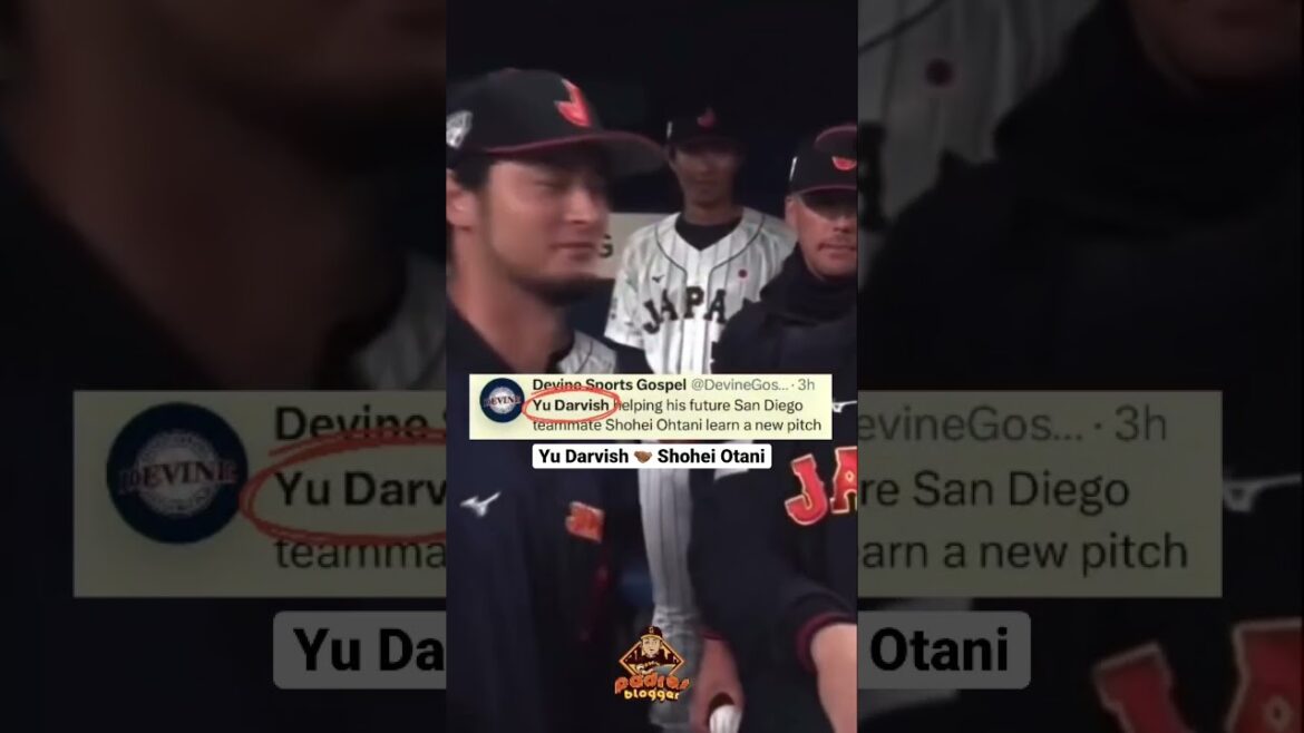 Yu Darvish teaching spin and recruiting Shohei Ohtani at the World Baseball Classic. #padres #mlb