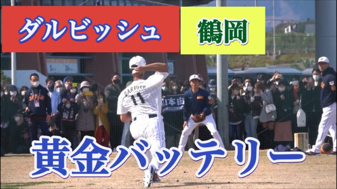 Nippon-Ham Golden Battery revival ❗️ Yu Darvish and catcher Tsuruoka ❗️ WBC Samurai Japan Miyazaki Camp