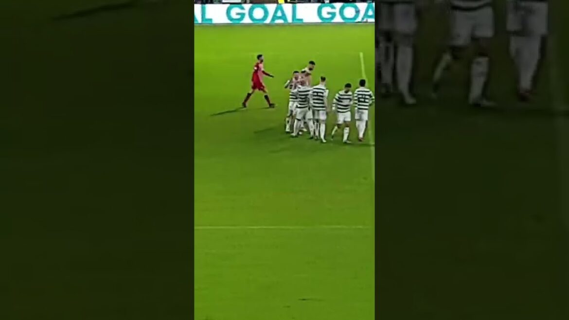 Daizen Maeda Celebration