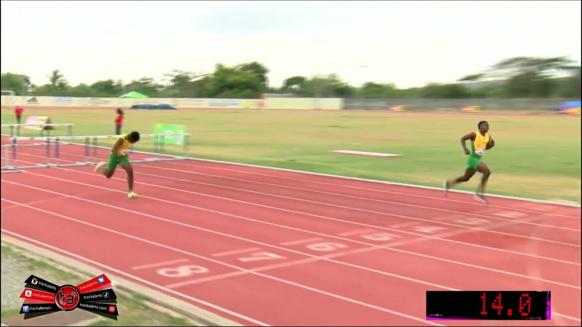 Romario Jibbison Shows Incredible Skill in Class 2 Boys' 110m Hurdles Win - Watch the Race Now!