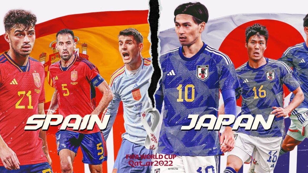 FAN REACTS TO SPAIN - JAPAN / FIFA WORLD CUP QATAR
