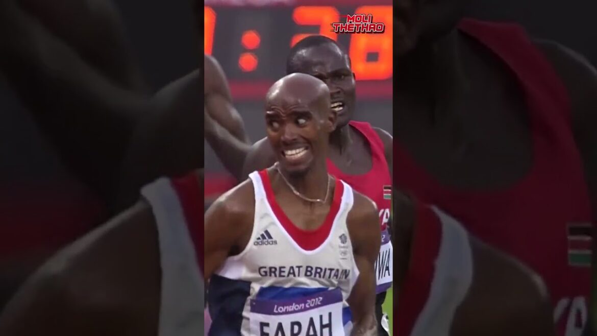 The athlete who won 4 Olympic gold medals raced with strangers and ended up losing face-down|  Moli Sports #shorts